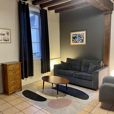 Appartement Le Coche D'Eau Auxerre Les Quais Εξωτερικό φωτογραφία