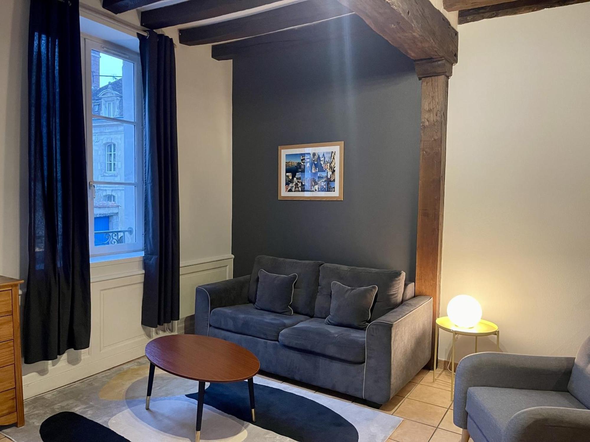 Appartement Le Coche D'Eau Auxerre Les Quais Εξωτερικό φωτογραφία
