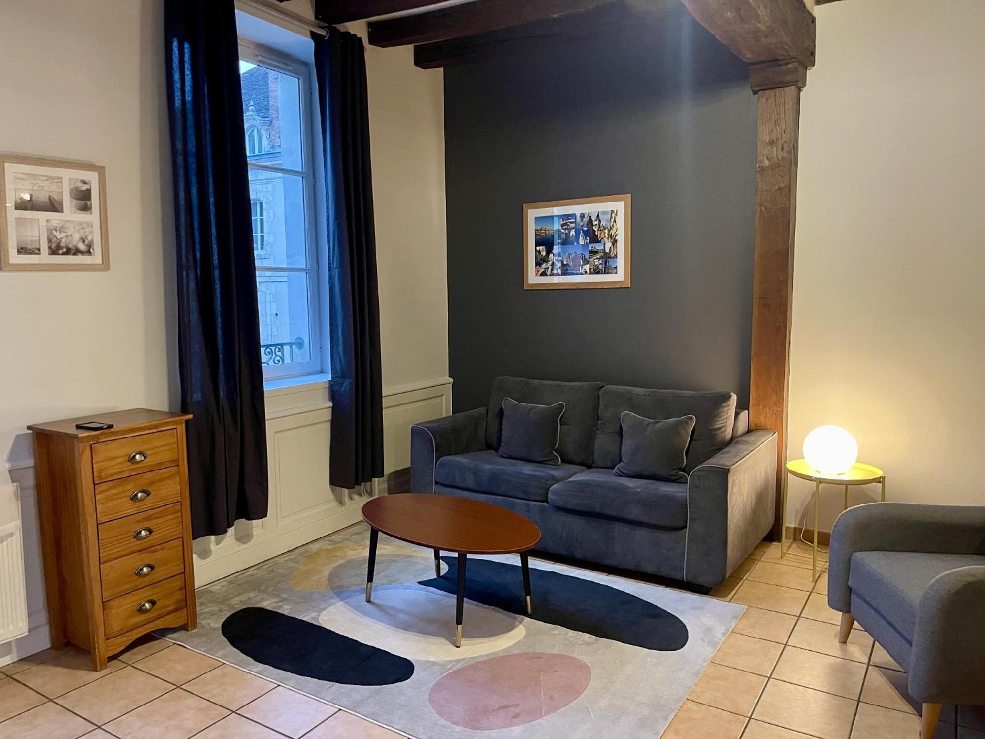 Appartement Le Coche D'Eau Auxerre Les Quais Εξωτερικό φωτογραφία
