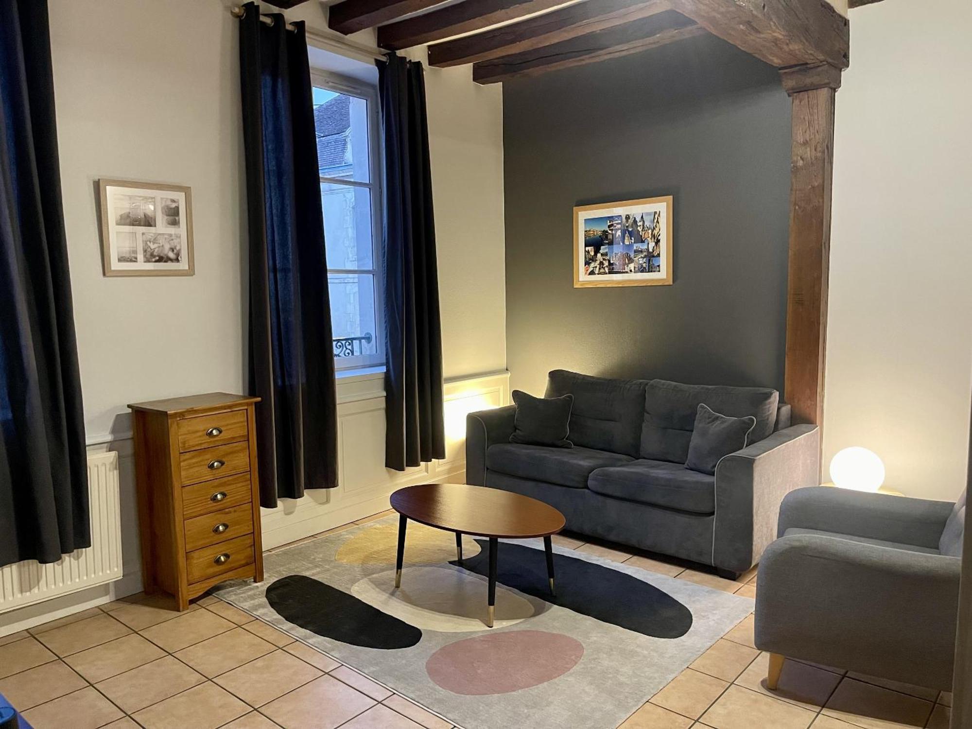 Appartement Le Coche D'Eau Auxerre Les Quais Εξωτερικό φωτογραφία