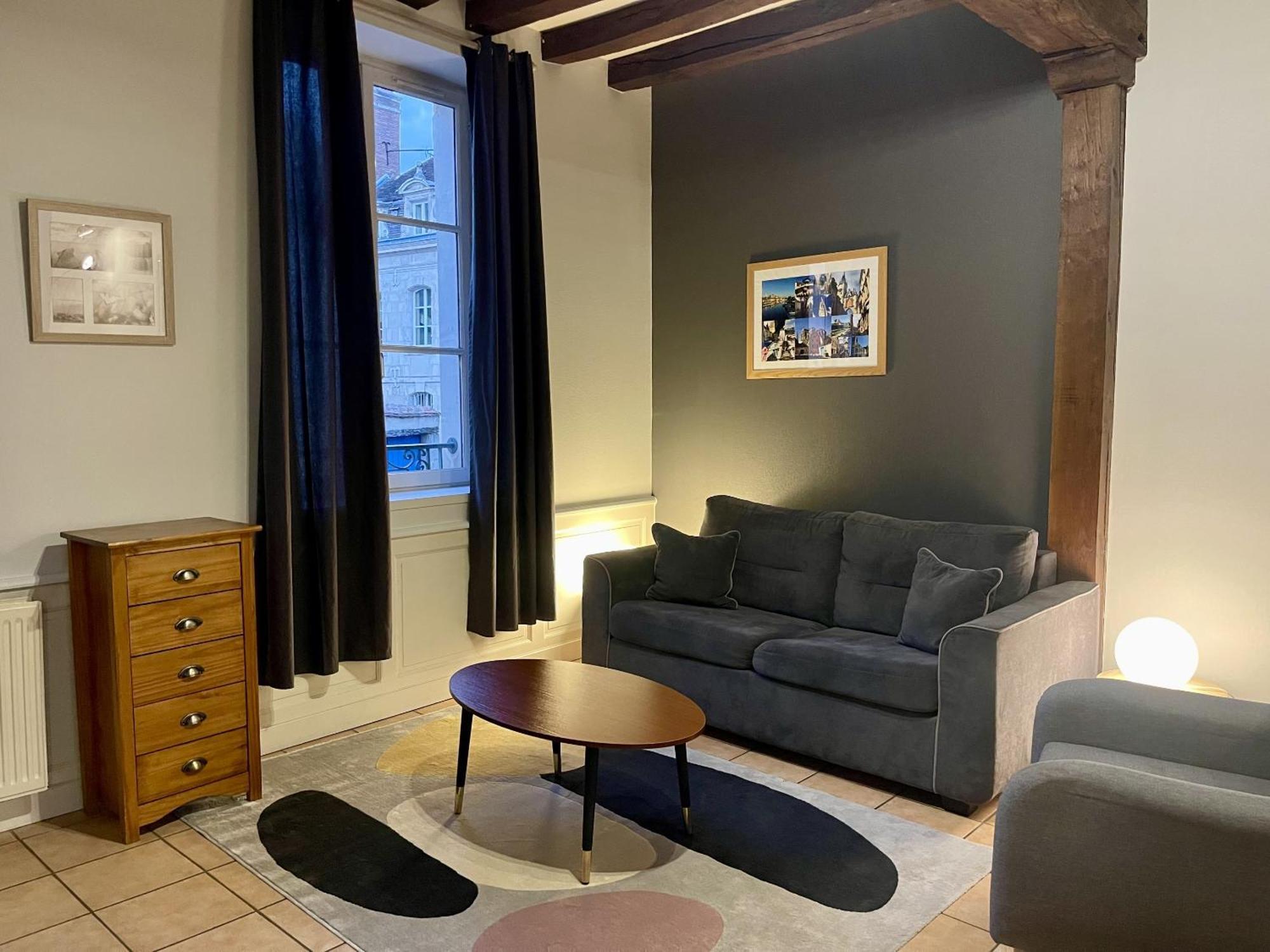 Appartement Le Coche D'Eau Auxerre Les Quais Εξωτερικό φωτογραφία